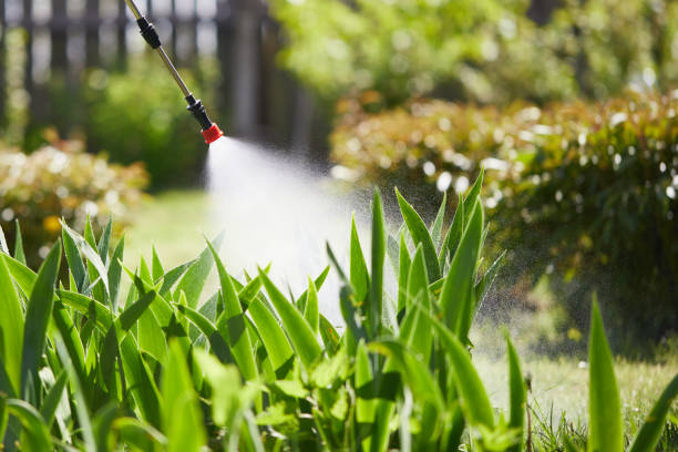 Tamper-Resistant Bait Stations for Rodents in Woods Cross