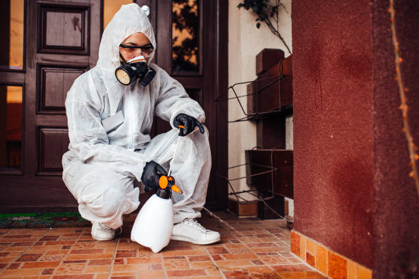 Attic and Crawl Space Rodent Treatment in Woods Cross