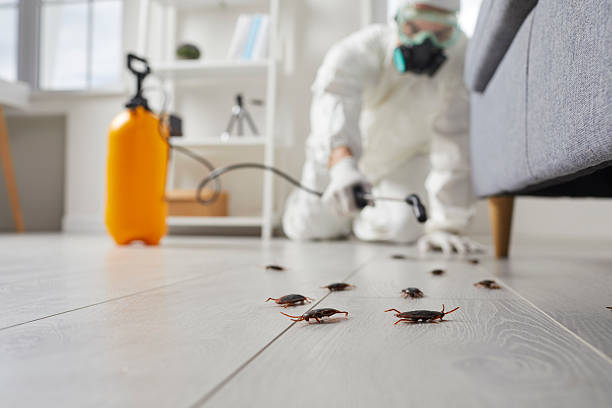 Commercial Rodent Management in Woods Cross